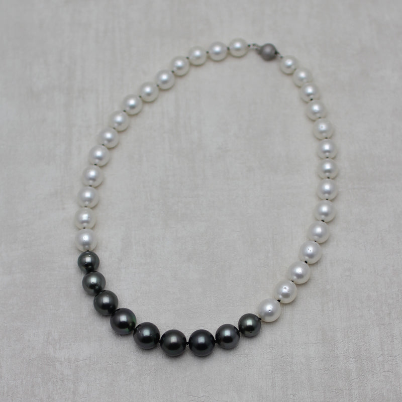 白蝶パール×黒蝶パール ネックレス
