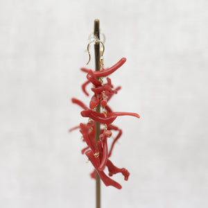枝珊瑚 × ダイヤモンド　フックピアス